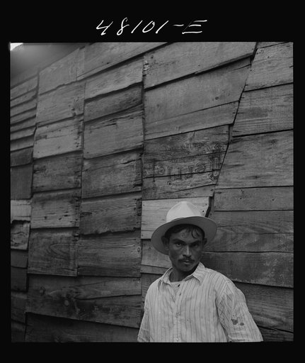Utuado, Puerto Rico. In the slum area