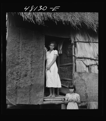 Untitled photo, possibly related to: Utuado, Puerto Rico (vicinity). Farm laborer's family