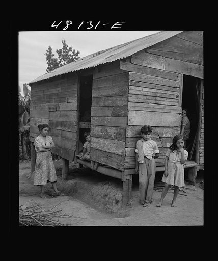 Utuado, Puerto Rico (vicinity). Farm labor family in the hills