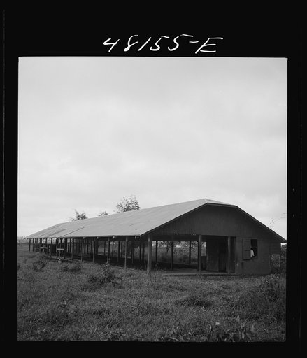 Santurce, Puerto Rico (vicinity). A barn on the property which FSA (Farm Security Administration) is buying for a land and utility housing project