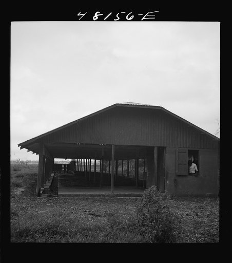 Santurce, Puerto Rico (vicinity). A barn on the property which FSA (Farm Security Administration) is buying for a land and utility housing project