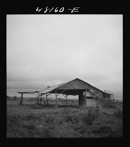 Santurce, Puerto Rico (vicinity). A barn on the property which FSA (Farm Security Administration) is buying for a land and utility housing project