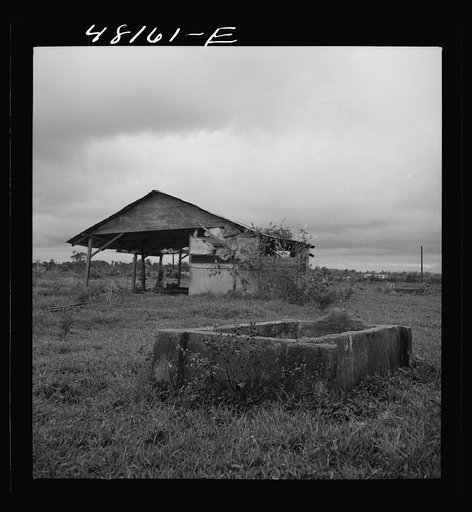Santurce, Puerto Rico (vicinity). Watering trough and barn on property which FSA (Farm Security Administration) is buying for a land and utility housing project