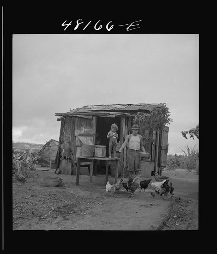 Santurce, Puerto Rico (vicinity). A squatter who has a small farm on the land which FSA (Farm Security Administration) is buying for a land and utility housing project