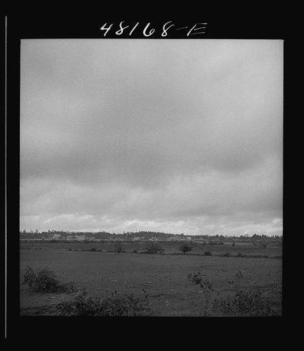 Santurce, Puerto Rico (vicinity). View of some of the land which FSA (Farm Security Administration) is buying for a land and utility housing project