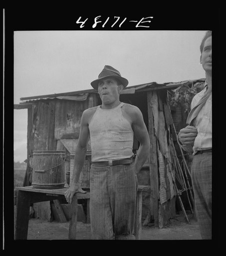 Untitled photo, possibly related to: Santurce, Puerto Rico (vicinity). A squatter who has a small farm on the land which FSA (Farm Security Administration) is buying for a land and utility housing project