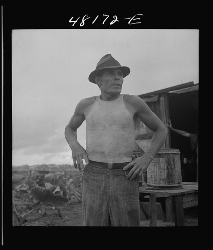 Untitled photo, possibly related to: Santurce, Puerto Rico (vicinity). A squatter who has a small farm on the land which FSA (Farm Security Administration) is buying for a land and utility housing project