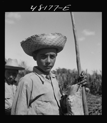Rio Piedras, Puerto Rico (vicinity). Son of one of the FSA (Farm Security Administration) farmers on the tenant purchase projects