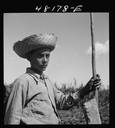 Untitled photo, possibly related to: Rio Piedras, Puerto Rico (vicinity). Son of one of the FSA (Farm Security Administration) farmers on the tenant purchase projects