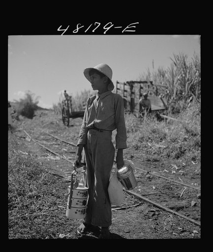 Untitled photo, possibly related to: Rio Piedras (vicinity), Puerto Rico. Son of one of the FSA (Farm Security Administration) farmers on the Rio Piedras project who brought lunch to his father, working in the sugar cane field