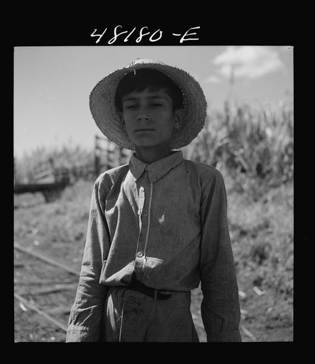 Untitled photo, possibly related to: Rio Piedras (vicinity), Puerto Rico. Son of one of the FSA (Farm Security Administration) farmers on the Rio Piedras project who brought lunch to his father, working in the sugar cane field