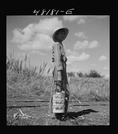 Rio Piedras (vicinity), Puerto Rico. Son of one of the FSA (Farm Security Administration) farmers on the Rio Piedras project who brought lunch to his father, working in the sugar cane field