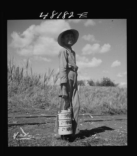 Untitled photo, possibly related to: Rio Piedras (vicinity), Puerto Rico. Son of one of the FSA (Farm Security Administration) farmers on the Rio Piedras project who brought lunch to his father, working in the sugar cane field