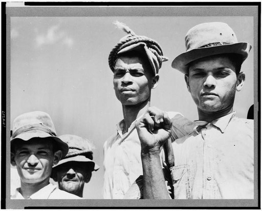 Arecibo, Puerto Rico (vicinity). Sugar cane workers on a plantation