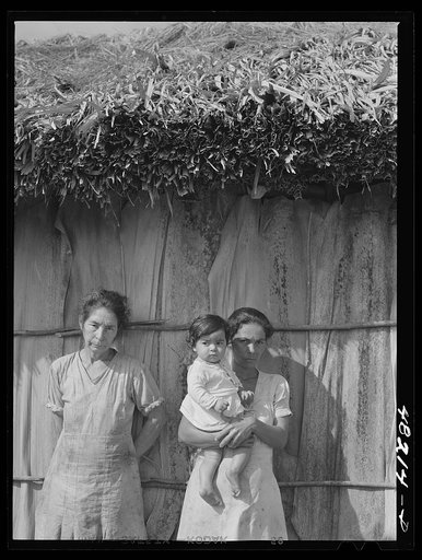 Utuado, Puerto Rico (vicinity). Farm laborer's family
