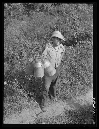 Untitled photo, possibly related to: Utuado, Puerto Rico (vicinity). Milkman on a road