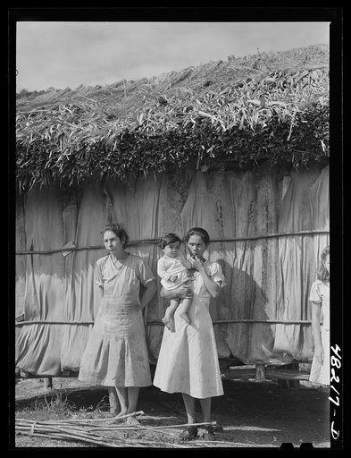 Untitled photo, possibly related to: Utuado, Puerto Rico (vicinity). Farm laborer's family