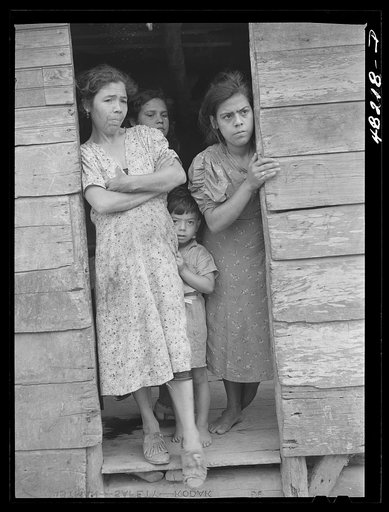 Utuado, Puerto Rico (vicinity). Farm laborer's family