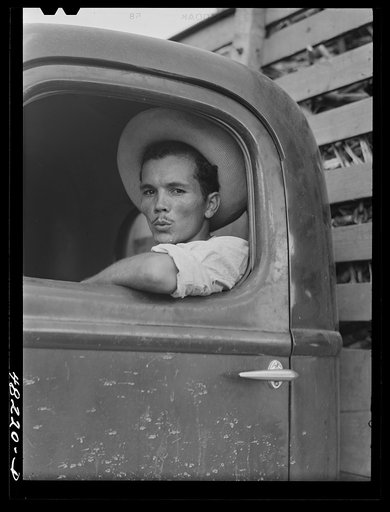 Arecibo, Puerto Rico (vicinity). Truck driver