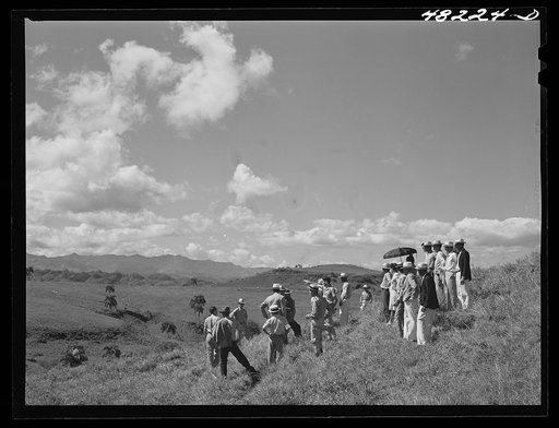 Manati (vicinity), Puerto Rico. Group of farmers watching distribution of land by the FSA (Farm Security Administration) supervisor for tenant purchase farms