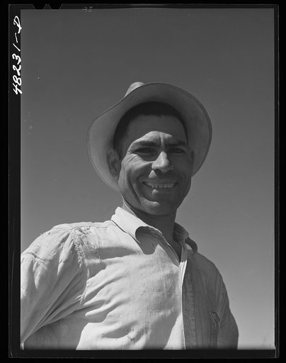 Barranquitas (vicinity), Puerto Rico. A farm laborer on a tobacco plantation