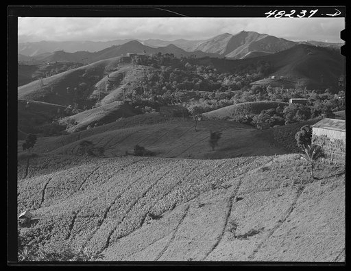 Comerio (vicinity), Puerto Rico. Farm landscape