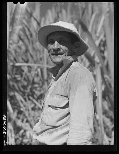 Rio Piedras (vicinity), Puerto Rico. FSA (Farm Security Administration) borrower who is a member of a sugar cooperative
