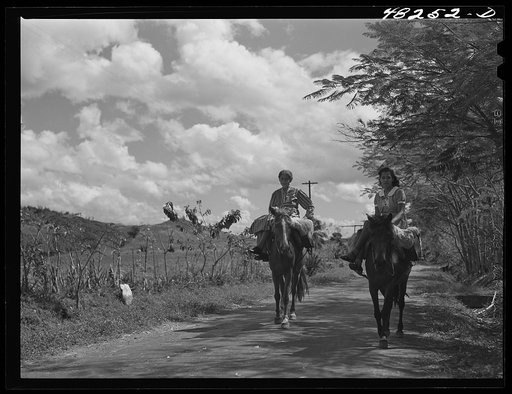 Manati (vicinity), Puerto Rico. On a road