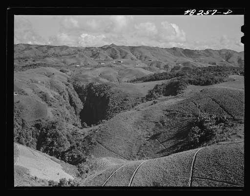 Comerio (vicinity), Puerto Rico. Landscape