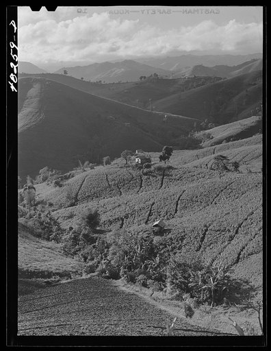 Comerio (vicinity), Puerto Rico. Landscape