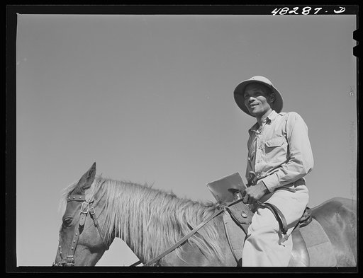 Untitled photo, possibly related to: Rio Piedras (vicinity), Puerto Rico. Union organizer who was visiting a FSA (Farm Security Administration) sugar cane cooperative