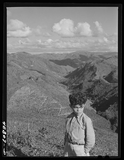 Barranquitas (vicinity), Puerto Rico. Son of a FSA (Farm Security Administration) borrower