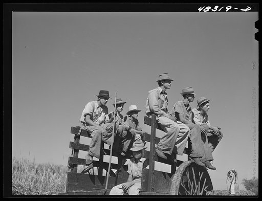 Rio Piedras, Puerto Rico. Sugar cane workers resting at the noon hour