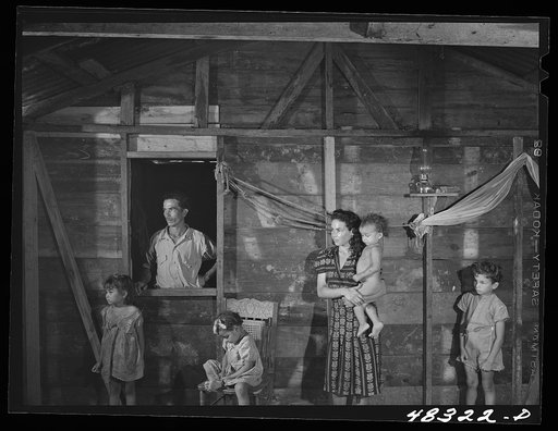 Untitled photo, possibly related to: Rio Piedras (vicinity), Puerto Rico. The home of a FSA (Farm Security Administration) borrower