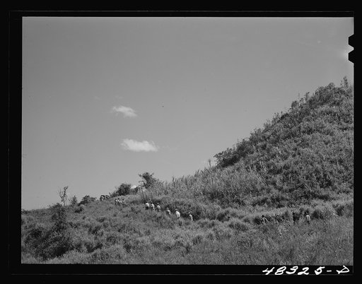 Untitled photo, possibly related to: Barranquitas (vicinity), Puerto Rico. Mountains