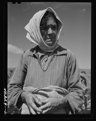 Barranquitas (vicinity), Puerto Rico. Old woman who was working in a tobacco field
