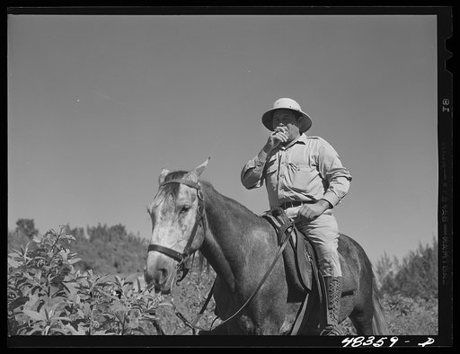 Manati (vicinity), Puerto Rico. A "majordomo" (foreman) on a sugar plantation