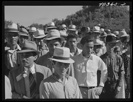 Manati (vicinity), Puerto Rico. A gathering of FSA (Farm Security Administration) borrowers to whom land was being distributed under the land authority act