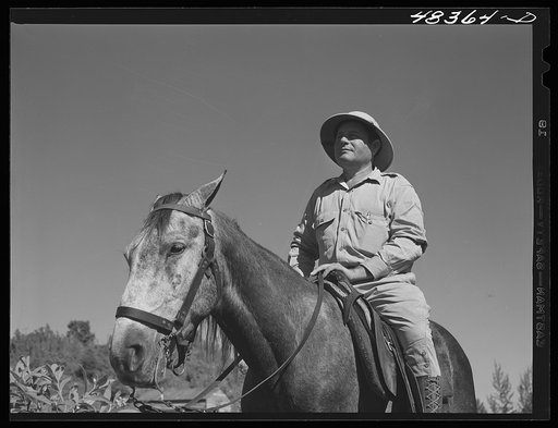 Untitled photo, possibly related to: Manati (vicinity), Puerto Rico. A "majordomo" (foreman) on a sugar plantation