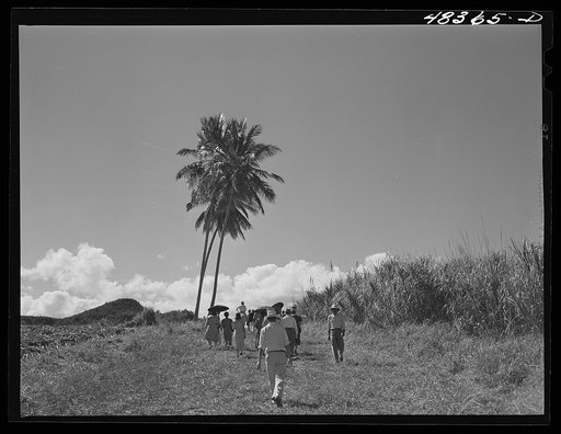 Manati (vicinity), Puerto Rico. A gathering of FSA (Farm Security Administration) borrowers to whom land was being distributed under the land authority act