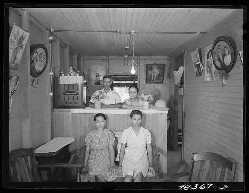 Barranquitas (vicinity), Puerto Rico. FSA (Farm Security Administration) borrower's family in their home
