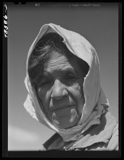 Barranquitas (vicinity), Puerto Rico. Old woman who was picking tobacco on a farm
