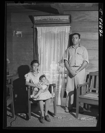 Corozal (vicinity), Puerto Rico. FSA (Farm Security Administration) borrower and his family in their farm home
