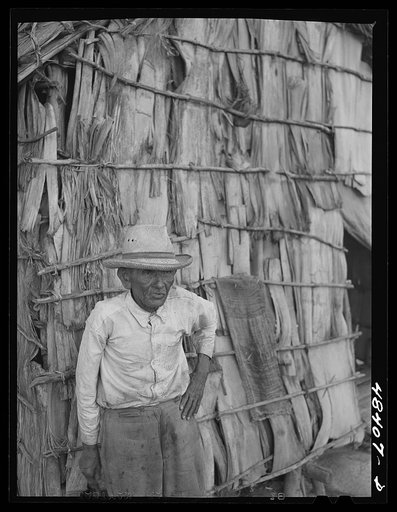 Corozal (vicinity), Puerto Rico. Old farmer living near a pineapple plantation