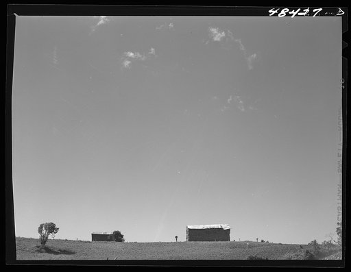 Barranquitas (vicinity), Puerto Rico. A farm