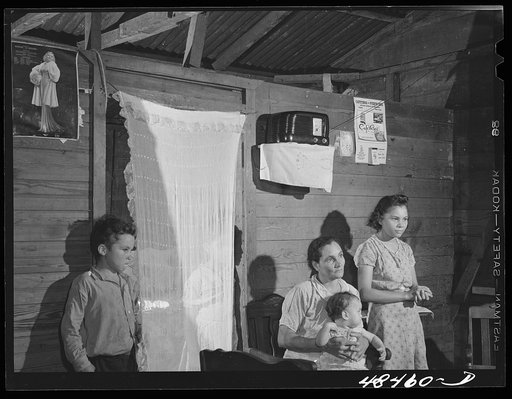 Rio Piedras (vicinity), Puerto Rico. FSA (Farm Security Administration) borrower's family