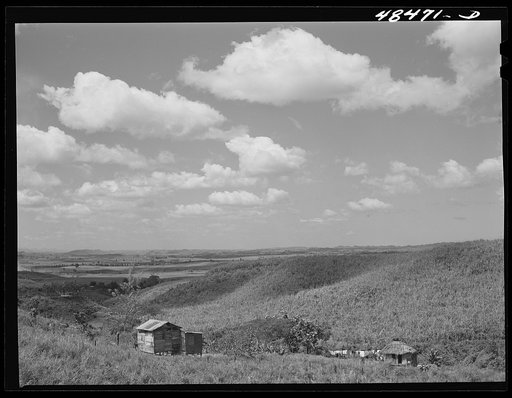 Rio Piedras (vicinity), Puerto Rico. Farm landscape