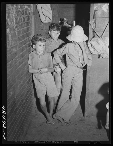 Rio Piedras (vicinity), Puerto Rico. Children of a FSA (Farm Security Administration) borrower