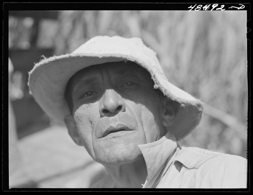 Untitled photo, possibly related to: Rio Piedras, Puerto Rico. FSA (Farm Security Administration) borrower and participant in the sugar cane cooperative