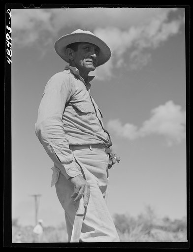 Rio Piedras, Puerto Rico. FSA (Farm Security Administration) borrower and participant in the sugar cane cooperative